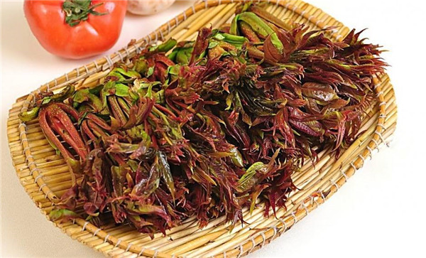 春季養肝吃什么好
