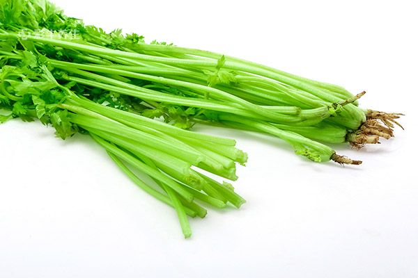 芹菜3.jpg 芹菜3.jpg