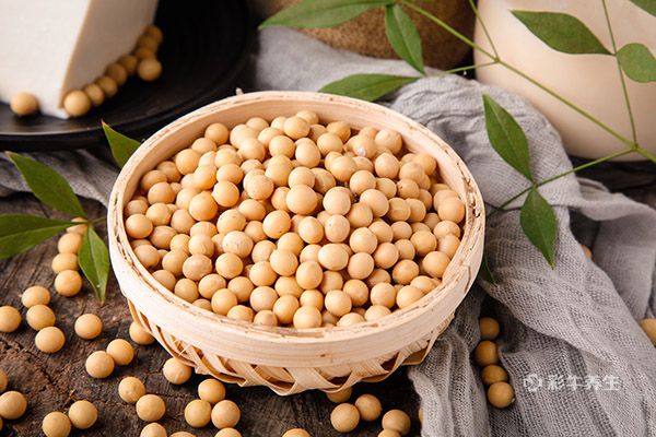 補鐵的食物3.jpg 補鐵的食物3.jpg